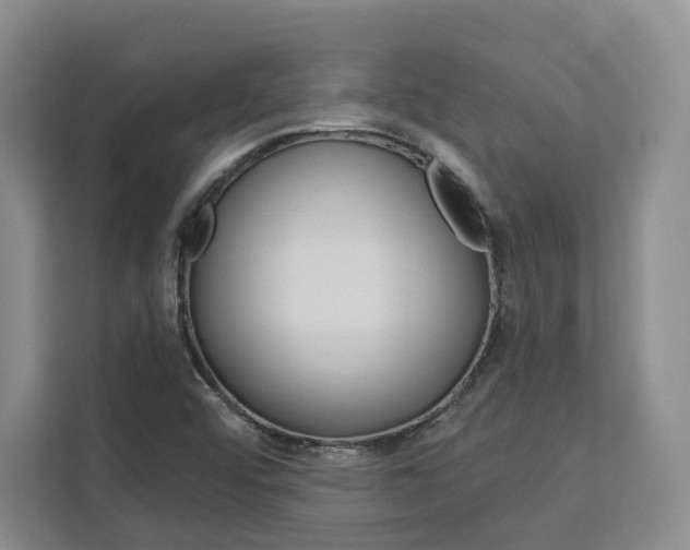 X0000113081456200908280937