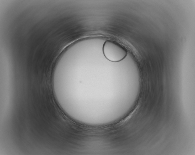 X0000113081457200908280937