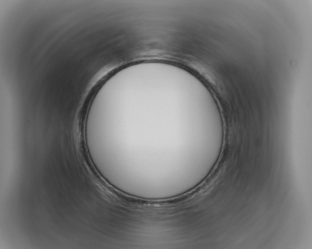 X0000113081458200908280937