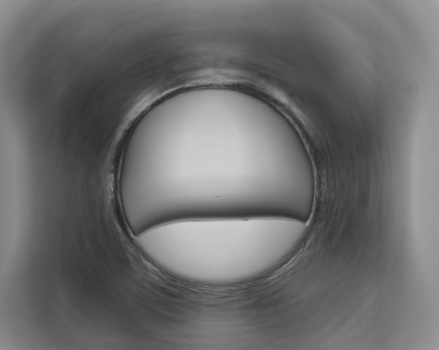 X0000113081459200908280937