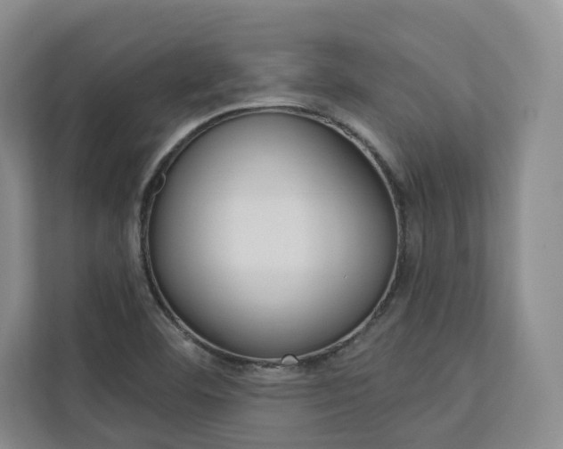 X0000113081460200908280937