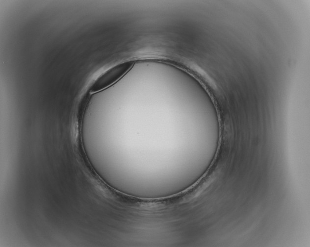 X0000113081461200908280937