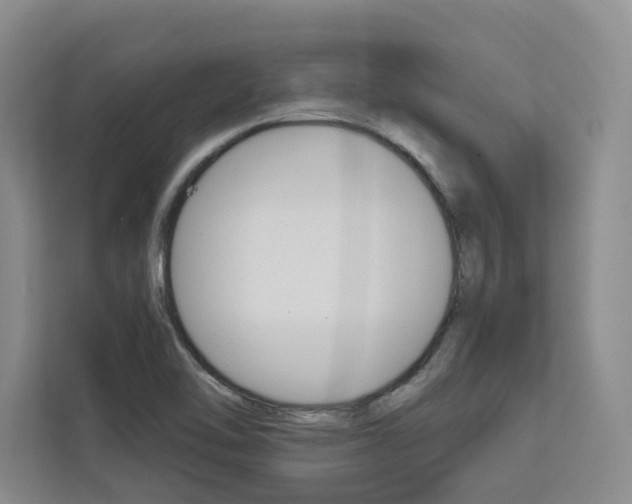 X0000113081462200908280937