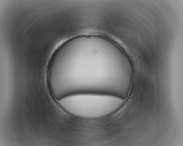 X0000113081463200908280937