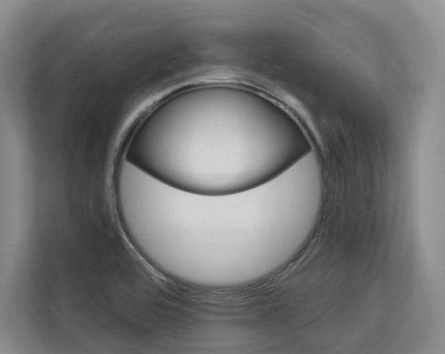 X0000113081464200908280937