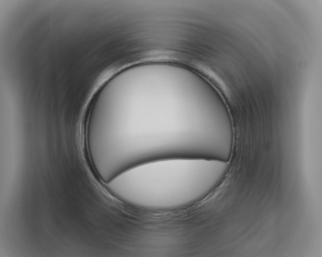 X0000113081467200908280937