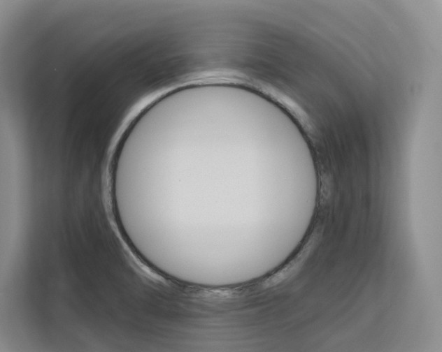 X0000113081470200908280937