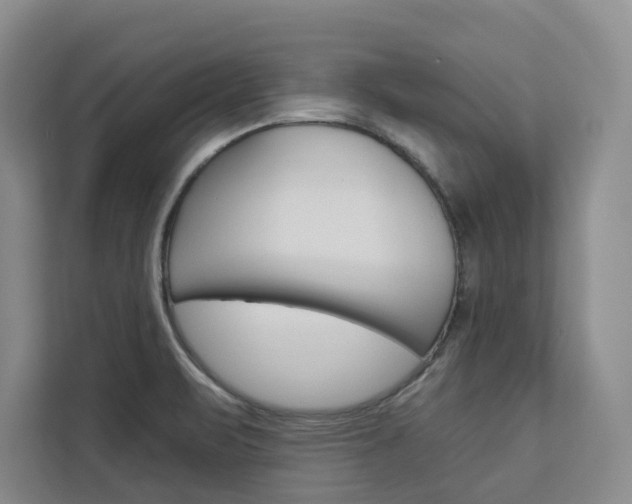 X0000113081471200908280937