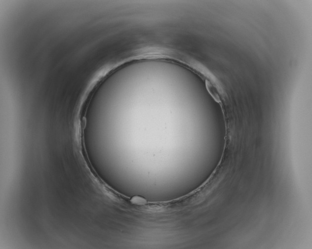 X0000113081472200908280937