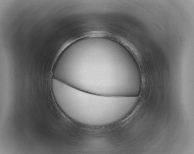 X0000113081473200908280937
