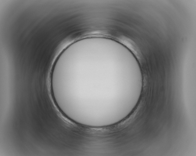X0000113081474200908280937