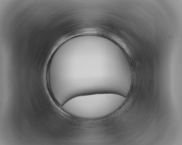 X0000113081475200908280937
