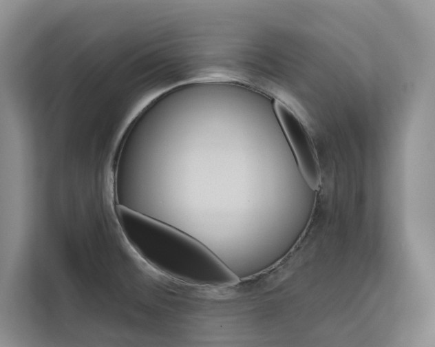 X0000113081476200908280937