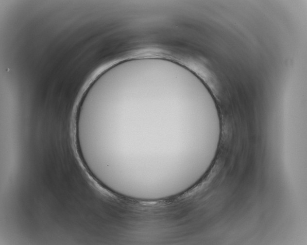 X0000113081478200908280937