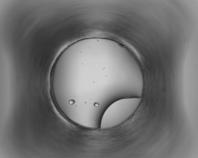X0000113081479200908280937