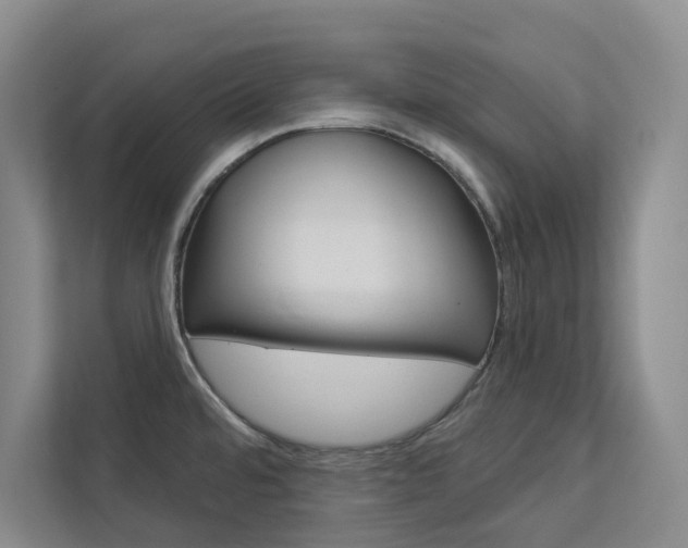 X0000113081480200908280937