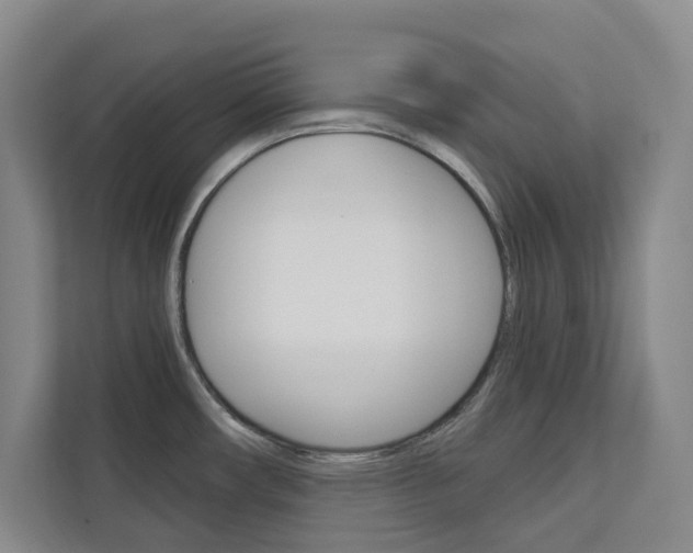 X0000113081482200908280937