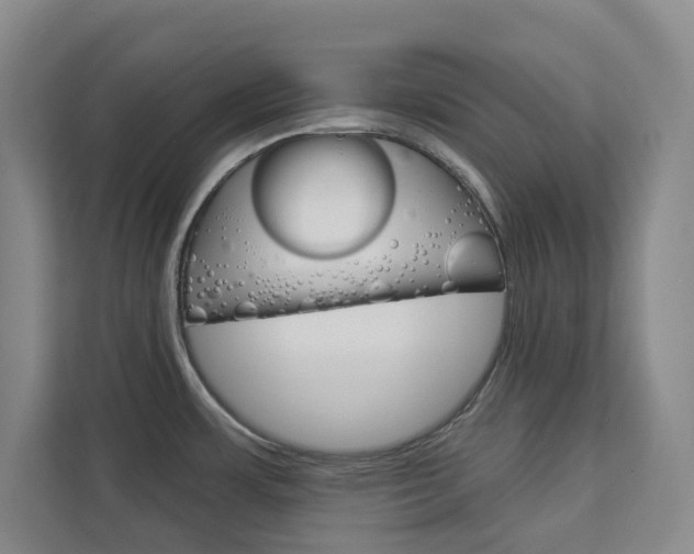 X0000113081483200908280937