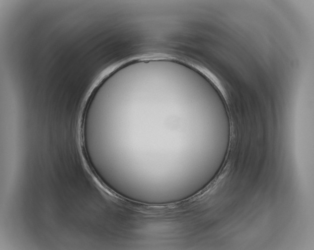 X0000113081485200908280937