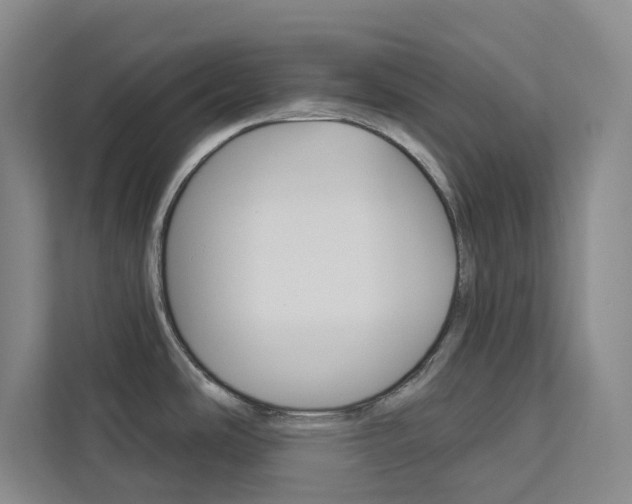 X0000113081486200908280937