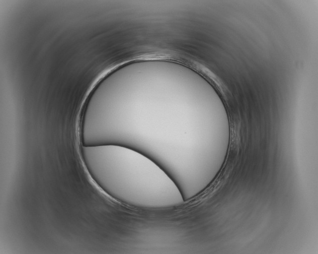 X0000113081487200908280937