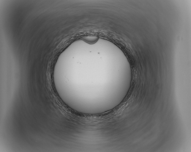 X0000113081489200908280936
