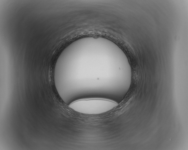 X0000113081490200908280936