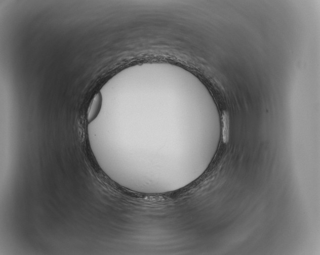 X0000113081491200908280936