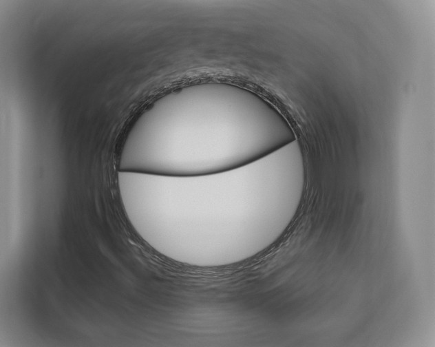 X0000113081492200908280936