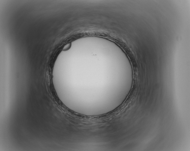 X0000113081493200908280936