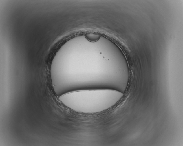 X0000113081494200908280936