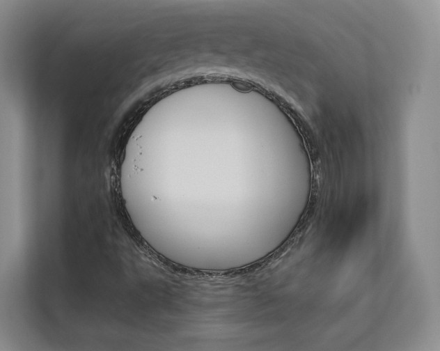 X0000113081495200908280936