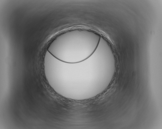 X0000113081496200908280936