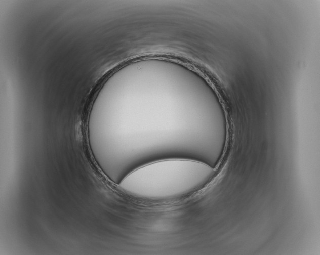 X0000113081497200908280936