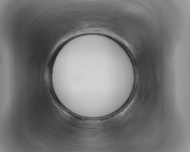 X0000113081498200908280937