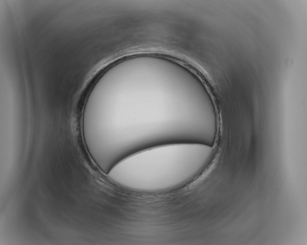 X0000113081501200908280937