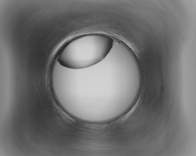 X0000113081502200908280937