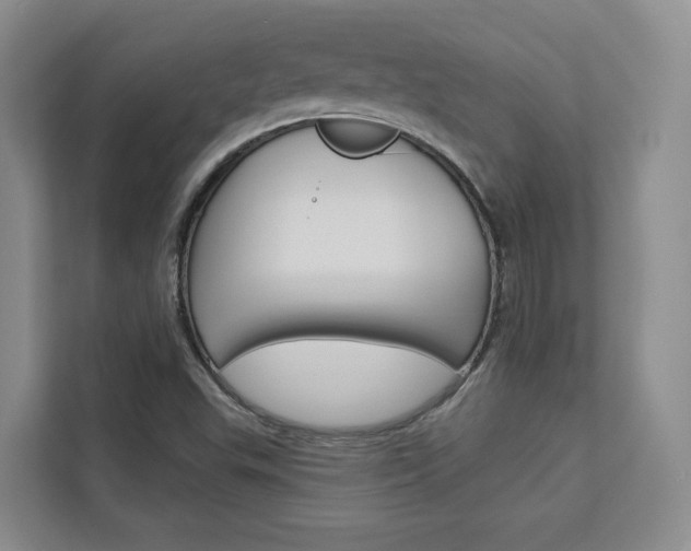 X0000113081503200908280937