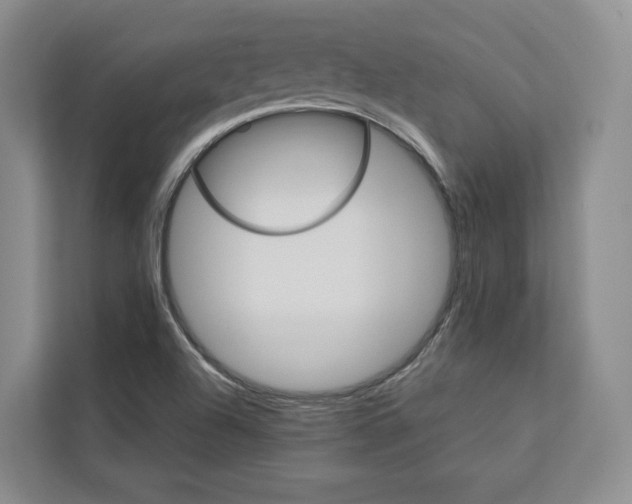 X0000113081504200908280937