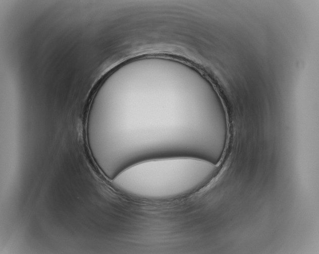 X0000113081505200908280937