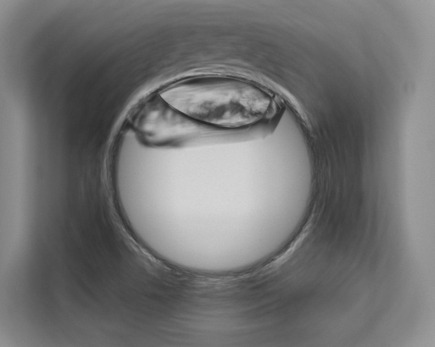 X0000113081506200908280937