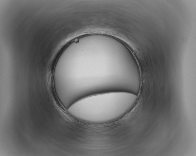 X0000113081507200908280937