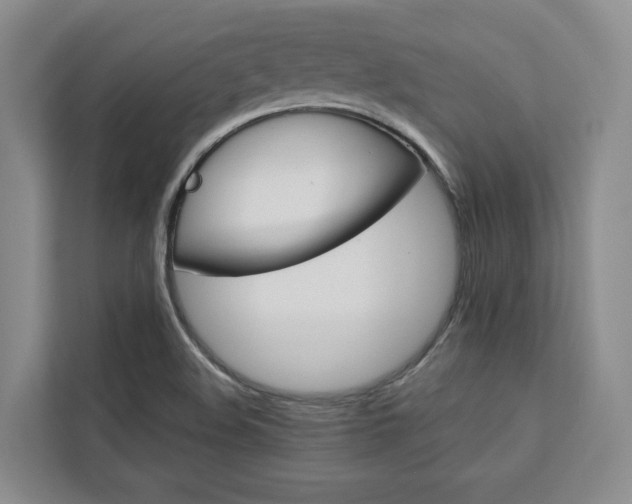 X0000113081508200908280937