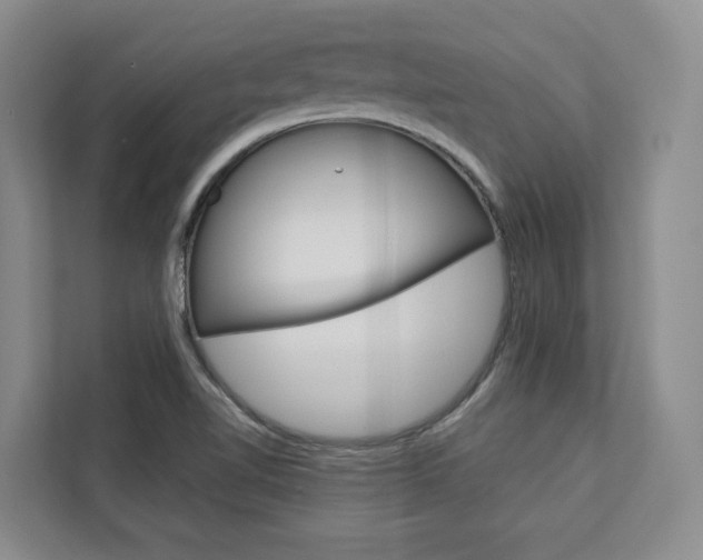 X0000113081510200908280937