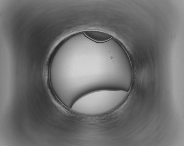 X0000113081511200908280937