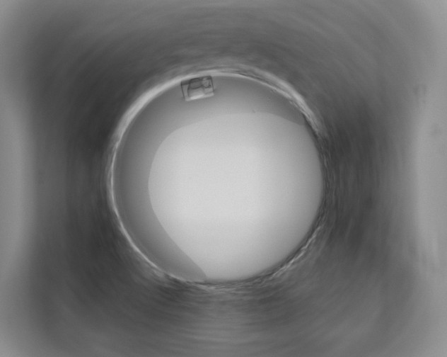 X0000113081512200908280937