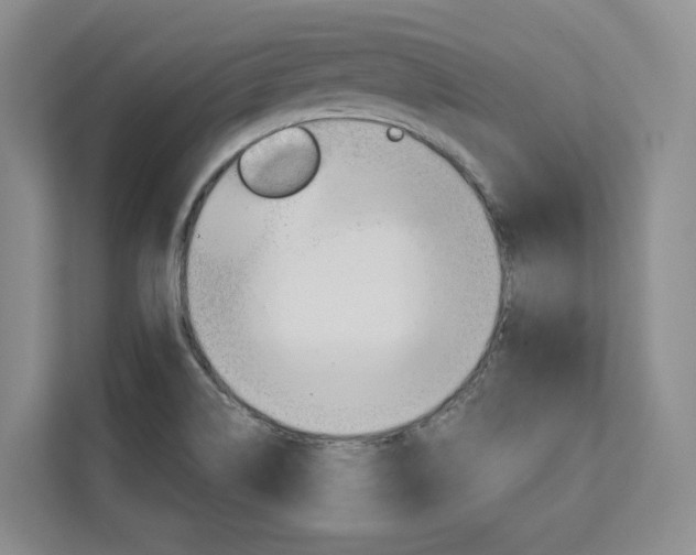 X0000113081514200908280937