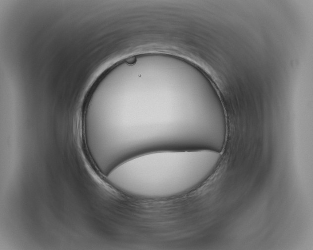 X0000113081515200908280937