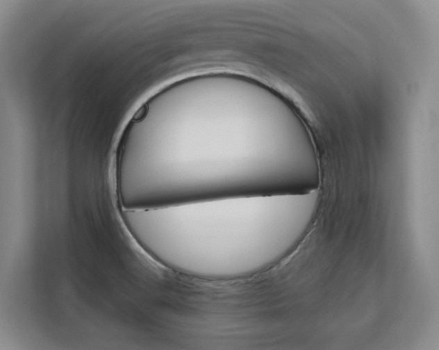 X0000113081516200908280937