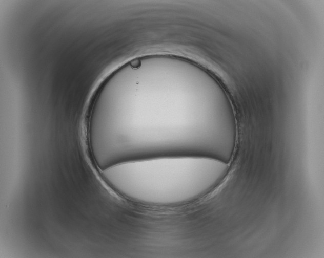 X0000113081517200908280937